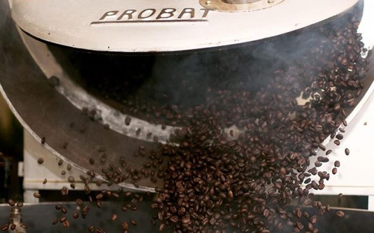 54514001_798108540572729_272028162238936988_n